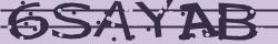 Retype the CAPTCHA code from the image